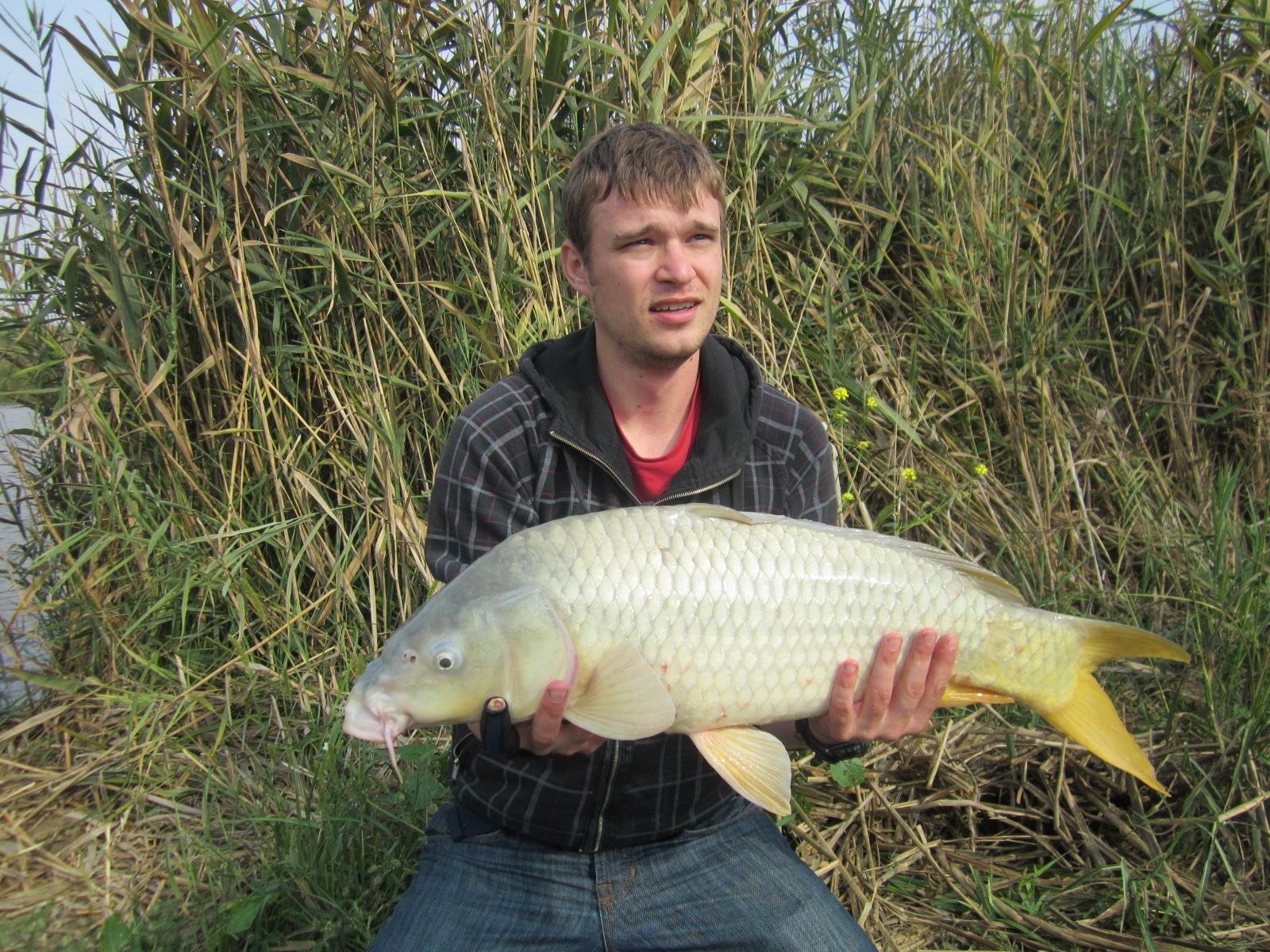 Carp mad - img1055.JPG